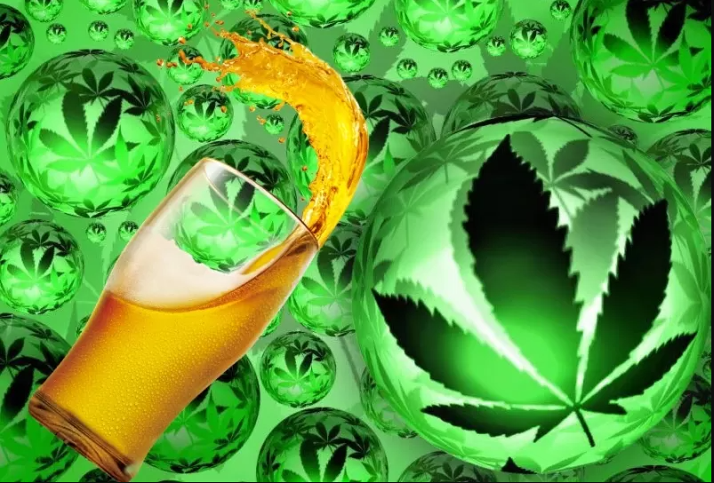 Canadian Beer Consumption Has Been Dropping Ever Since Cannabis Was Federally Legalized
