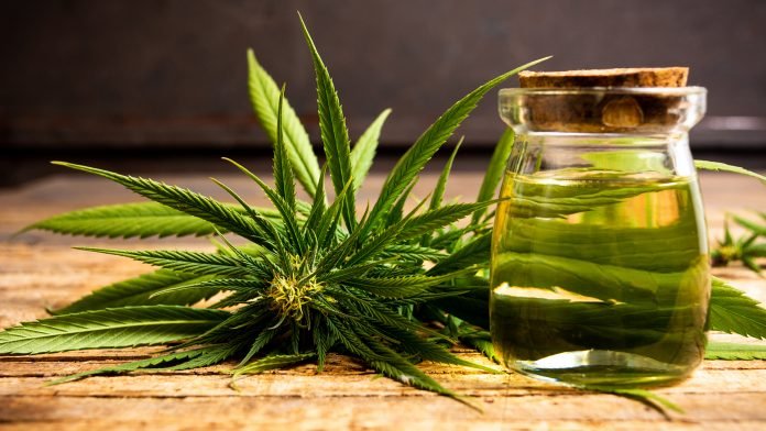 20 Health Benefits Of Cannabis That Everyone should Know