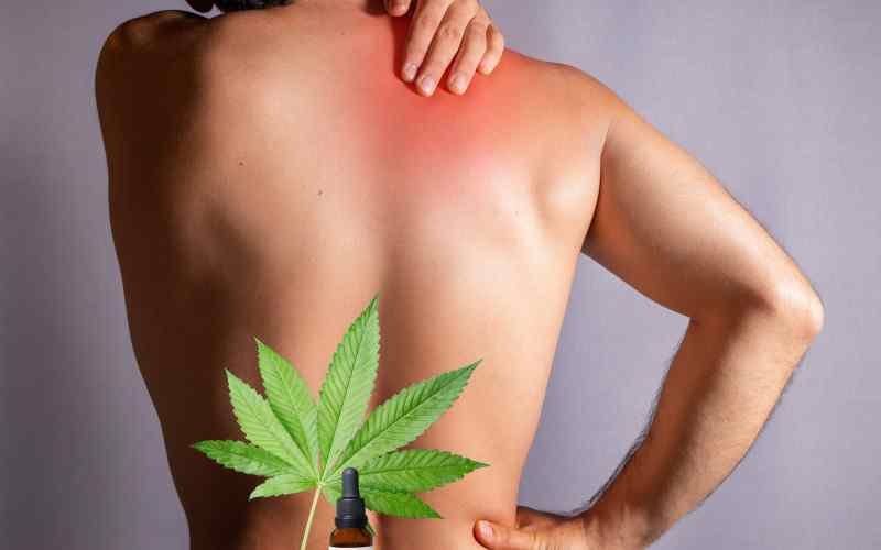 Study: A Quarter of People With Chronic Pain Use Cannabis