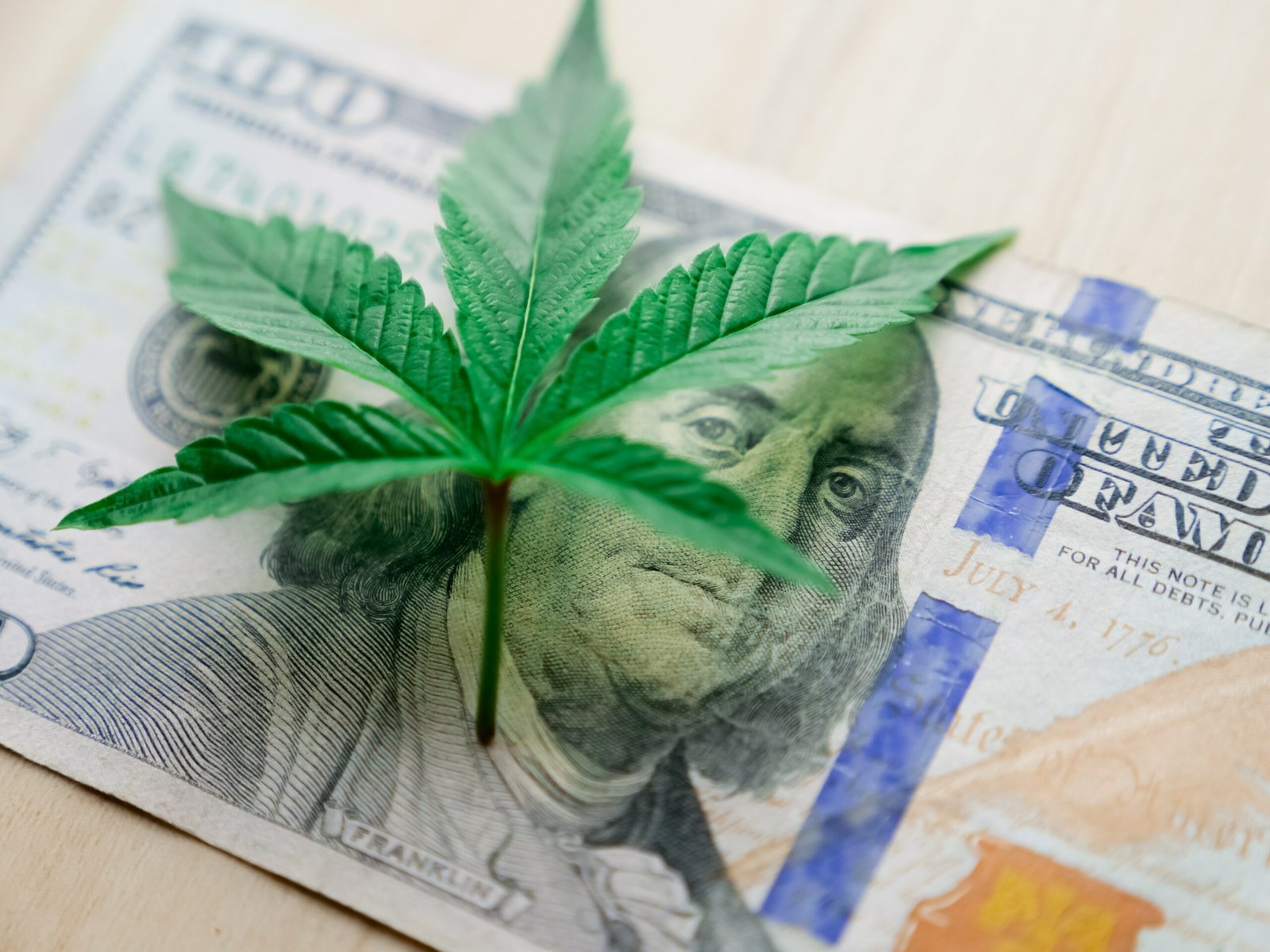 How Can Cannabis Clones Save Me Money and Time