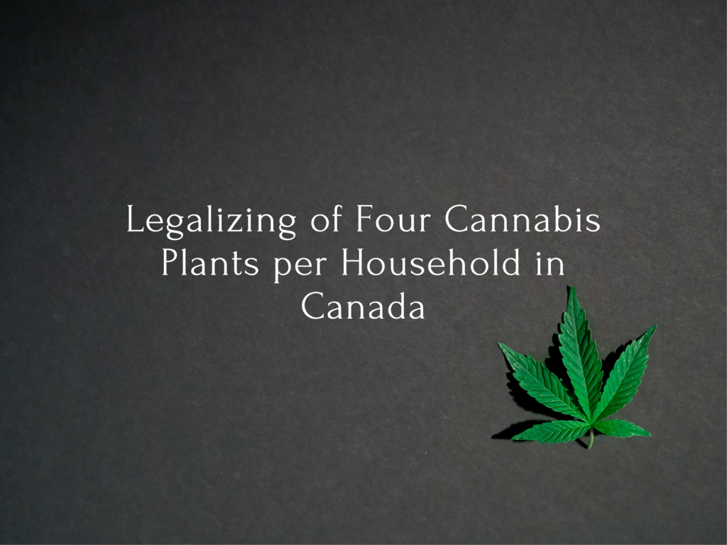 Legalizing of Four Cannabis Plants per Household in Canada