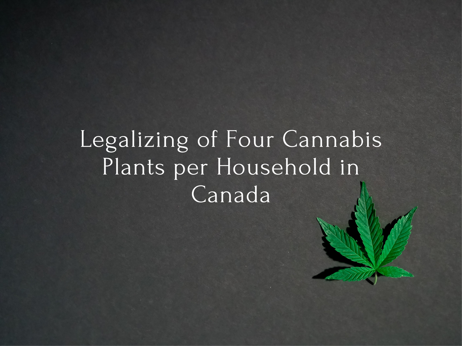 Legalizing of Four Cannabis Plants per Household in Canada