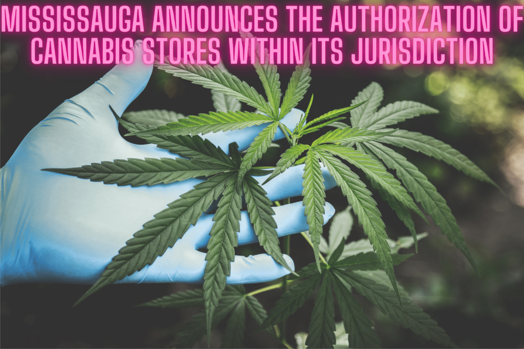 Mississauga Announces the Authorization of Cannabis Stores within its Jurisdiction