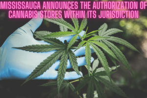 Mississauga announces the authorization of cannabis stores within its jurisdiction