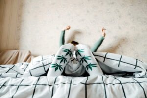 Dosdiso, Clone Cannabis, strain-verified cannabis clones, top cannabis clone provider, cannabis mothers with high yields, pest-free cannabis clones, recreational cannabis, grow your own cannabis | Mr Clones