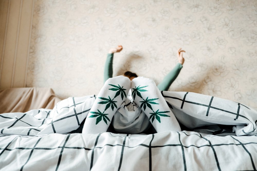 The Therapeutic Art of Cannabis Clone Growing: Stress Relief and Mental Wellness Benefits