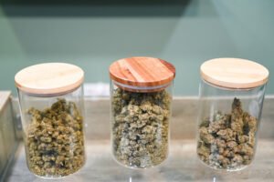 Cannabis Clones and Strain Preservation Safeguarding the Legacy of Unique Varieties