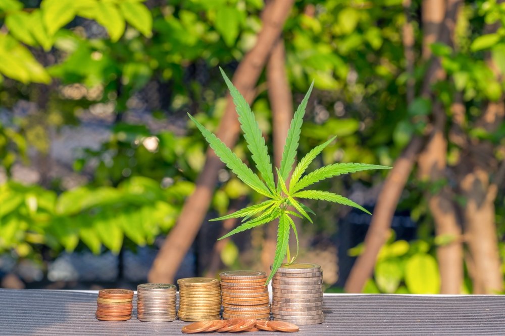 The Cost-Effectiveness of Cannabis Clones: How Much Can You Really Save?