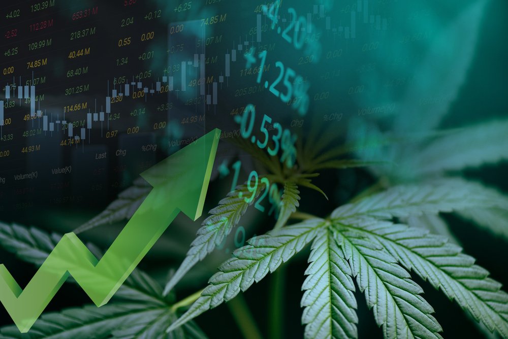 Avoiding Market Markups: The Financial Benefits of DIY Cannabis Cultivation