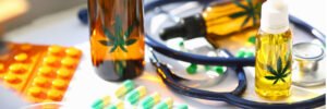Beyond the High How Cannabis Clones are Changing the Landscape of Medical