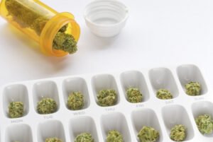 Cannabis Clones and Amyloidosis Exploring Potential Therapeutic Benefits