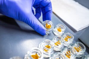Cannabis Clones and Endometriosis Relief for Pain and Inflammation
