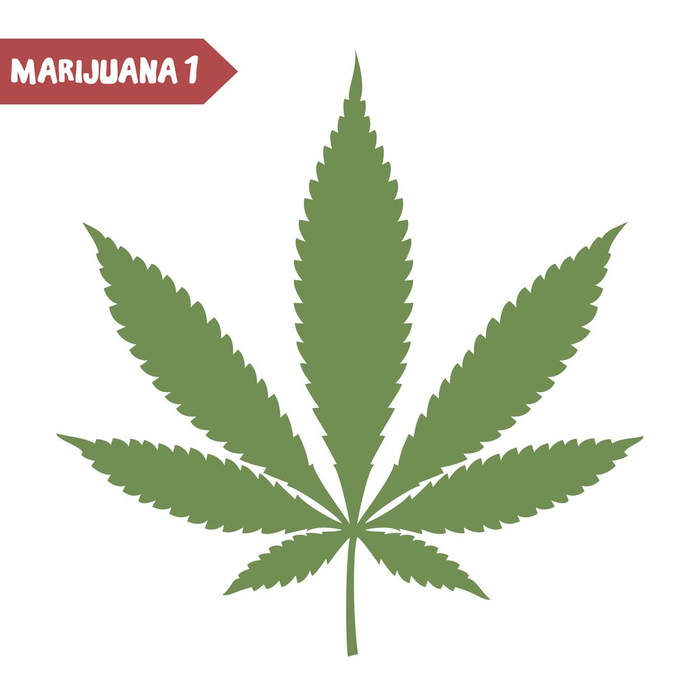 Cannabis Clones and Epilepsy: Unveiling the Promise of Seizure Management