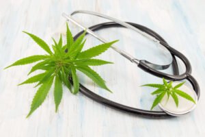 Cannabis Clones and Epilepsy Unveiling the Promise of Seizure Management