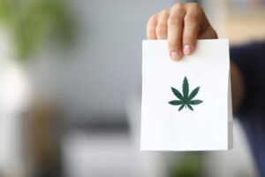 Cannabis Clones and Fibromyalgia Managing Widespread Pain