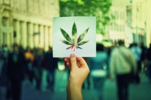 Cannabis Clones and Parkinson's Disease A New Approach to Management