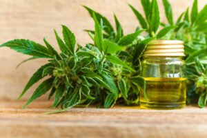 Cannabis Clones and Tourette Syndrome Controlling Tics and Improving Qual