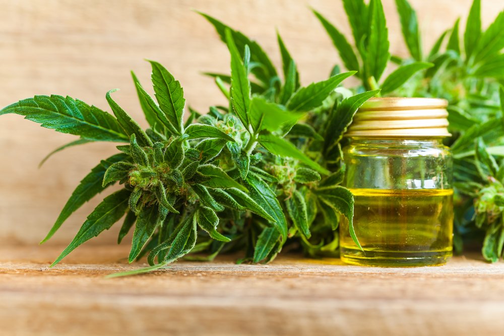 Cannabis Clones and Tourette Syndrome Controlling Tics and Improving Quality of Life