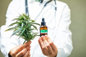 Cannabis Clones for Opioid Addiction Recovery