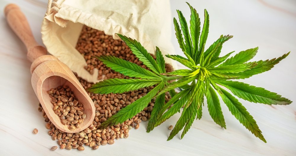Cannabis Cloning for Culinary Creations