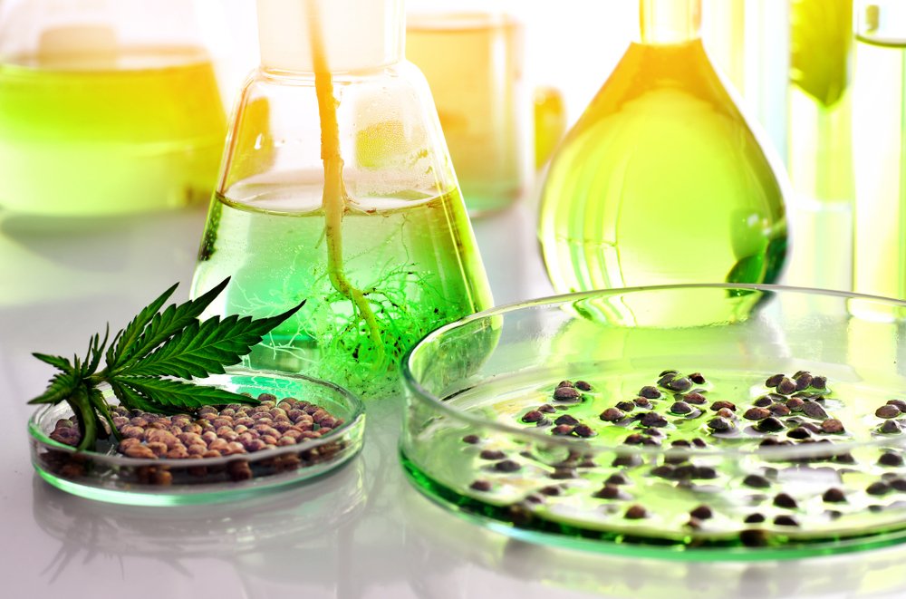 Cannabis Topiary: Sculpting with Clones