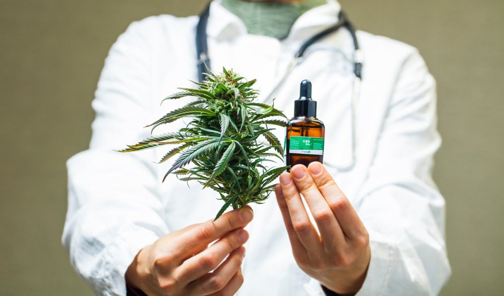 Case Studies in Compassionate Care Cannabis Clones Changing Lives