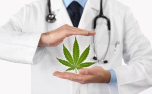 Empowering Patients How to Choose the Right Cannabis Clones for Your Medical Needs