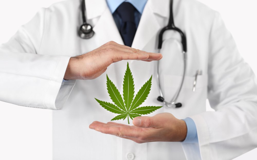 Empowering Patients How to Choose the Right Cannabis Clones for Your Medical Needs
