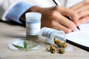 From Roots to Relief The Journey of Cannabis Clones in Medical Treatment