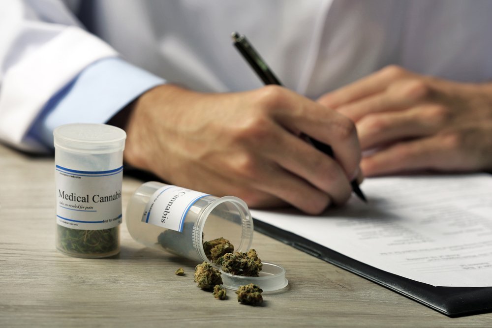 Reversing the Opioid Crisis Cannabis Clones as an Alternative Pain Management Strategy