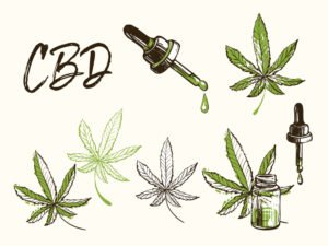 Comparing Different Cannabis Growing Kits