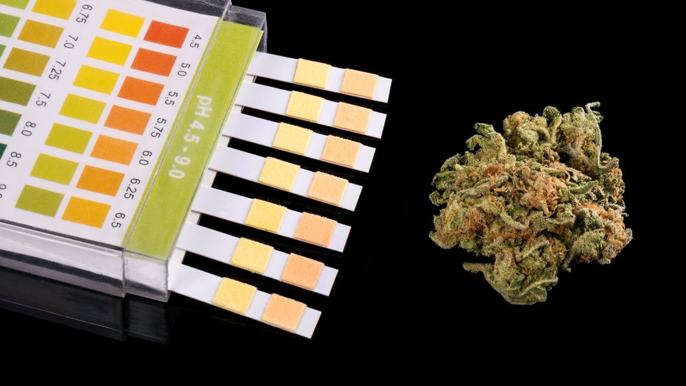 Understanding Water pH and EC for Cannabis Growth