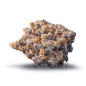Animal Sorbet An Uplifting and Euphoric Hybrid for Any Occasion