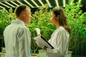 Interviews with Experts Professional