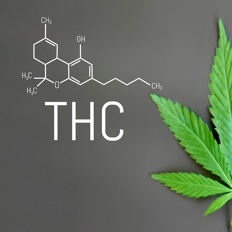 Finding the Right Balance: Exploring THC Potency, Benefits, and Risks