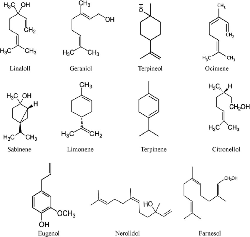 Unlocking the Secrets of Cannabis Terpenes: Why They Matter and How They Enhance Your Experience