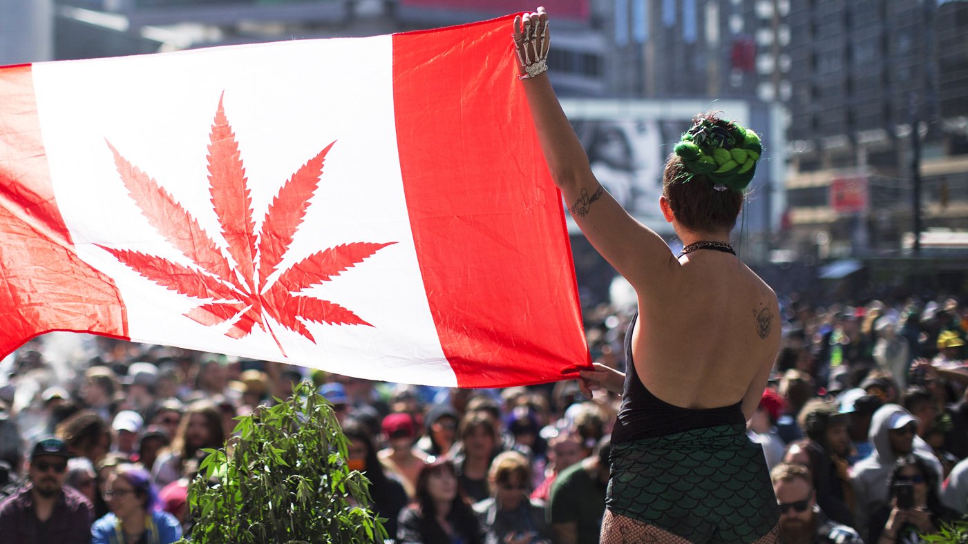 Seasonal Strategies: Maximizing Your Cannabis Harvest in the Canadian Climate