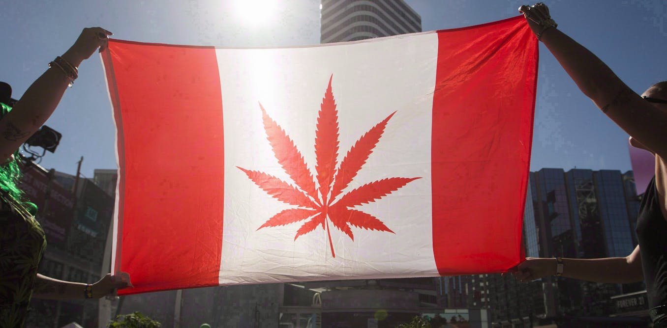 From Snow to Sun: Transitioning Your Cannabis Plants through Canada's Changing Seasons