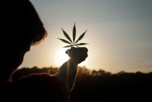 Can I clone cannabis outdoors