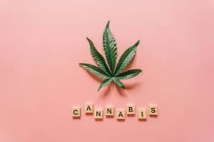 Pre-Order-Your-Cannabis-Clones-from-Mr.-Clones