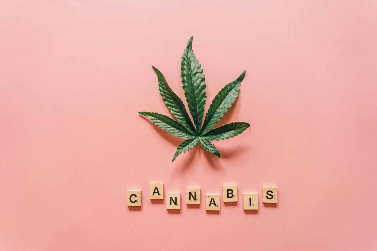 Get Ready for Growing Season: Pre-Order Your Cannabis Clones from Cannabis Clones Canada