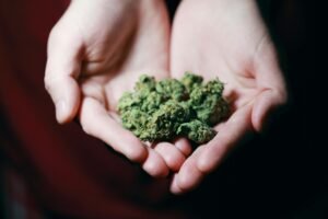 Tips for Choosing the Right Clones