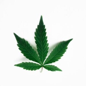 Cannabis-clones