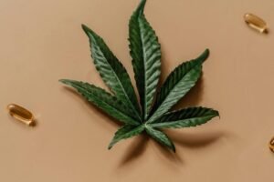 The-Science-Behind-Cannabis-Clones-and-Epilepsy-Relief