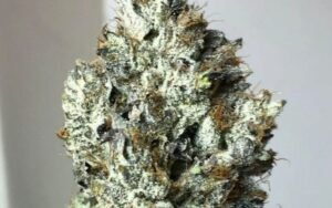 Death-Bubba