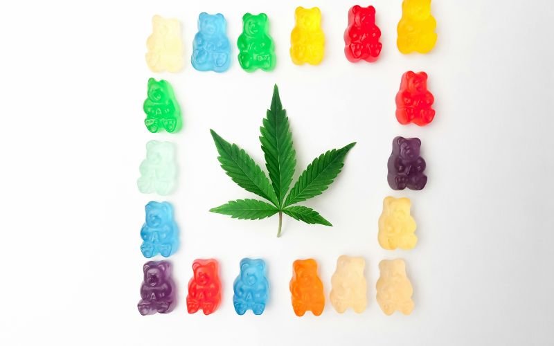 Grey Goose Strain: A Guide to Cultivating Potent and Flavorful Harvests
