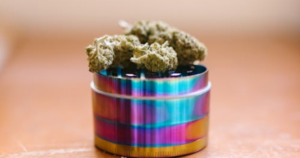 How to Choose the Right Cannabis Clones for Outdoor Growing