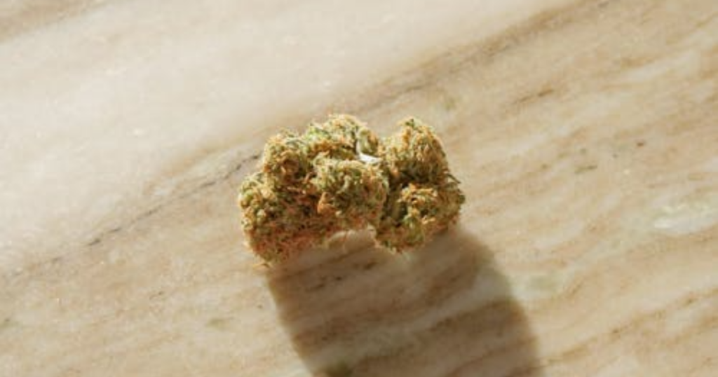 How to Build a “Finish-First” Strategy for Canadian Outdoor Grows