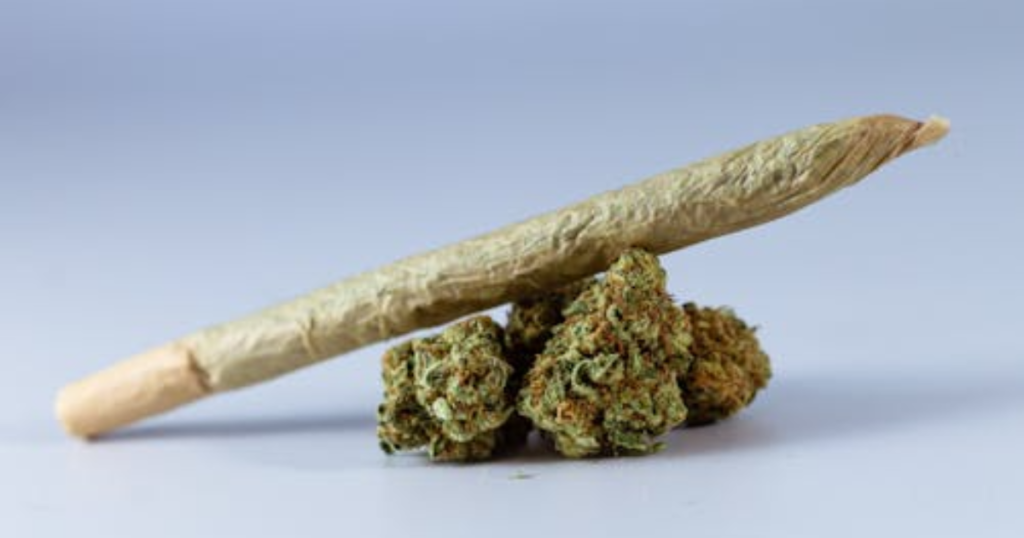 What Canadian Growers Get Wrong About “Strong” Clones